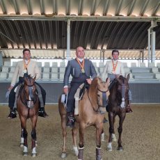 * CAMPEONATO DE ESPAÑA DE EQUITACIÓN DE TRABAJO 2022