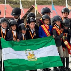 * CAMPEONATO DE ESPAÑA DE PONIS SALTOS