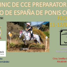* CLINIC PONIS CCE PARA CTO. DE ESPAÑA