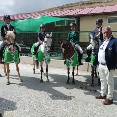 * CAMPEONATO DE ESPAÑA DE PONIS CCE