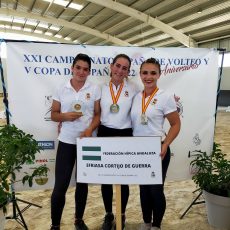 * CAMPEONATO DE ESPAÑA DE VOLTEO