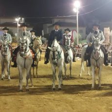 * CAMPEONATO DE ANDALUCIA DE ALTA ESCUELA 2022