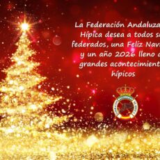 FELICITACIÓN NAVIDAD 2025