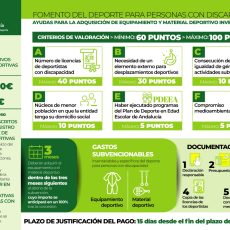 PROTOCOLO DE PREVENCIÓN DE LA VIOLENCIA CONTRA LOS MENORES EN EL DEPORTE DE ANDALUCÍA Y ACCIÓN FORMATIVA IAD.