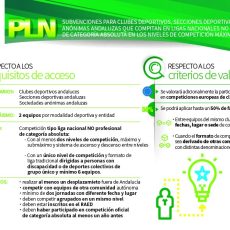Publicada en BOJA Resolución Línea de subvención en régimen de concurrencia competitiva Participación en Liga Nacional (PLN)