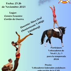 CONVOCATORIA DE CLINIC DE VOLTEO 25 Y 26 NOVIEMBRE EN CORTIJO GUERRA