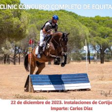 CONVOCATORIA CLINIC CCE
