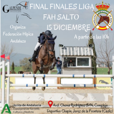 🗓️15 De diciembre FINAL FINALES LIGA FAH SALTO DE OBSTÁCULOS. Federación Andaluza de Hípica, instalaciones CDE Los Llanos, Jerez de la Ftra. (Cádiz).