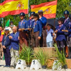 Campeonato de Europa de Equitación de Trabajo 2025