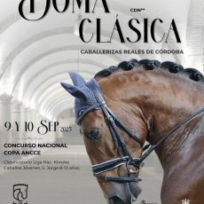 🗓️Del 9 al 10 de septiembre CDN2* COPA ANCCE CABALLERIZAS REALES DE CÓRDOBA 2025 – LIGA KIWOKO CABALLOS JÓVENES. Córdoba Ecuestre, Córdoba.