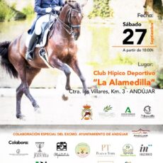 🗓️27 De septiembre CDT XI COPA DE ANDALUCÍA DOMA CLÁSICA, PARALÍMPICA, PONIS Y AMAZONAS. C.D. de Enganches Ciudad de Jaén, instalaciones C.H. La Alamedilla, Andújar (Jaén).