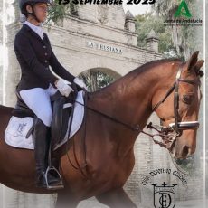 🗓️13 De septiembre CDT XI COPA DE ANDALUCÍA DOMA CLÁSICA, PARALÍMPICA, PONIS Y AMAZONAS. C.D. Ecuestre El Laminillo, Mairena del Aljarafe (Sevilla).