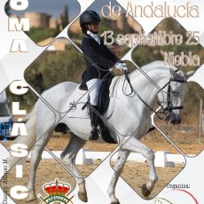 🗓️13 De septiembre CDT XI COPA DE ANDALUCÍA DOMA CLÁSICA, PARALÍMPICA, PONIS Y AMAZONAS. C.H. Mariano Orta, Niebla (Huelva).