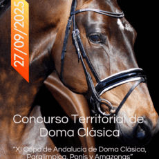 🗓️27 De septiembre CDT XI COPA DE ANDALUCÍA DOMA CLÁSICA, PARALÍMPICA, PONIS Y AMAZONAS. La Pañoleta Riders Club, El Puerto de Santa María (Cádiz).