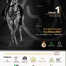 🗓️1 De noviembre CVT FINAL V COPA DE ANDALUCÍA DOMA VAQUERA PROV. JAÉN. C.H.D. Alamedilla, Andújar (Jaén).<br><span style="color:#FF0000"><b>SUSPENDIDO</b></span>