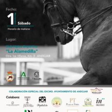 🗓️1 De noviembre CDT FINAL XI COPA DE ANDALUCÍA DOMA CLÁSICA, PARALÍMPICA, PONIS Y AMAZONAS PROV. JAÉN. C.H.D. Alamedilla, Andújar (Jaén).