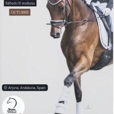 🗓️11 De octubre CDT XI COPA DE ANDALUCÍA DOMA CLÁSICA, PARALÍMPICA, PONIS Y AMAZONAS. Oleorasa Tour, Arjona (Jaén).