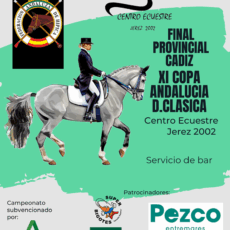 🗓️1 De noviembre CDT FINAL XI COPA DE ANDALUCÍA DOMA CLÁSICA, PARALÍMPICA, PONIS Y AMAZONAS PROV. CÁDIZ. Centro Ecuestre 2002, Jerez de la Ftra. (Cádiz).