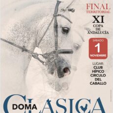 🗓️1 De noviembre CDT FINAL XI COPA DE ANDALUCÍA DOMA CLÁSICA, PARALÍMPICA, PONIS Y AMAZONAS PROV. CÓRDOBA. C.H. Círculo del Caballo de Pozoblanco, Pozoblanco (Córdoba).