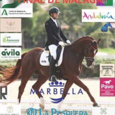 🗓️1 De noviembre CDT FINAL XI COPA DE ANDALUCÍA DOMA CLÁSICA, PARALÍMPICA, PONIS Y AMAZONAS PROV. MÁLAGA. C.H.D. Al-Andalus, Marbella (Málaga).