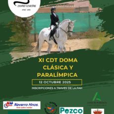 🗓️12 De octubre CDT XI COPA DE ANDALUCÍA DOMA CLÁSICA, PARALÍMPICA, PONIS Y AMAZONAS. C.E. Jerez 2002, Jerez de la Ftra. (Cádiz).