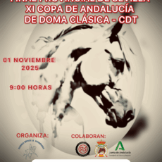 🗓️1 De noviembre CDT FINAL XI COPA DE ANDALUCÍA DOMA CLÁSICA, PARALÍMPICA, PONIS Y AMAZONAS FINAL PROV. SEVILLA. C.H. La Ponderosa, El Viso del Alcor (Sevilla).