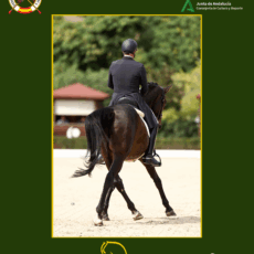 🗓️26 De octubre CDT XI COPA DE ANDALUCÍA DOMA CLÁSICA, PARALÍMPICA, PONIS Y AMAZONAS. Royal Center Hípica, Chiclana de la Ftra. (Cádiz).