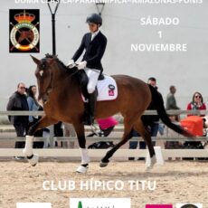 🗓️1 De noviembre CDT FINAL XI COPA DE ANDALUCÍA DOMA CLÁSICA, PARALÍMPICA, PONIS Y AMAZONAS PROV. ALMERÍA. C.H. Titu, Vera (Almería).
