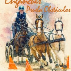 🗓️Del 15 al 16 de noviembre CAMPEONATO DE ESPAÑA PRUEBA DE OBSTÁCULOS CANPOCTO 2*. C.D. de Enganches Ciudad de Jaén, El Rocío (Huelva).