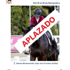 🗓️Del 13 al 16 de noviembre XXXIV CAMPEONATO DE ANDALUCÍA DOMA CLÁSICA Y PARALÍMPICA. Federación Andaluza de Hípica, instalaciones Dehesa Montenmedio, Vejer de la Ftra. (Cádiz).<br><span style="color:#FF0000"><b>APLAZADO PTE. FECHA</b></span>