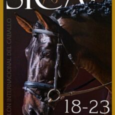 🗓️Del 18 al 23 de noviembre SICAB 2025. ANCCE, Palacio de Exposiciones y Congresos de Sevilla (FIBES).