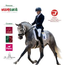 🗓️Del 5 al 7 de diciembre XXXIV CAMPEONATO DE ANDALUCÍA DOMA CLÁSICA Y PARALÍMPICA. Federación Andaluza de Hípica, instalaciones Shot-Sevilla Horse Tour, Carmona (Sevilla).