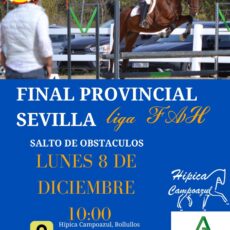 🗓️8 De diciembre FINAL LIGA SALTO FAH PROV. SEVILLA. Federación Andaluza de Hípica, instalaciones Hípica Campoazul, Bollullos de la Mitación (Sevilla).