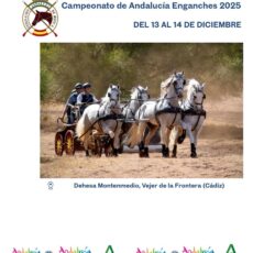 🗓️Del 13 al 14 de diciembre CTO. ANDALUCÍA ENGANCHES. Federación Andaluza de Hípica, instalaciones Dehesa Montenmedio, Vejer de la Ftra. (Cádiz).