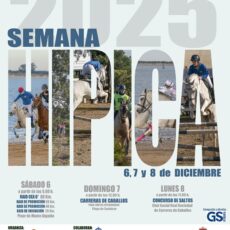 🗓️Del 6 al 8 de diciembre RAID HÍPICO CEA P40-CEA P60-CEA 0*. Real Sociedad de Carreras de Caballos de Sanlúcar, Sanlúcar de Barrameda (Cádiz).