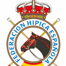 🗓️Del 30 de octubre al 2 de noviembre CTO. ESPAÑA DOMA VAQUERA CABALLOS JÓVENES. UEGHA, El Rocío (Almonte, Huelva).