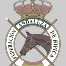 🗓️9 De noviembre CST LIGA FAH PROV. SEVILLA. Horse Sport Arena, Espartinas (Sevilla).