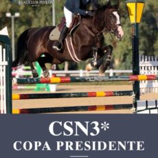 🗓️Del 29 al 31 de mayo CSN3* COPA PRESIDENTE. Real Club Pineda, Sevilla.