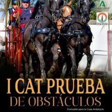 🗓️6 De junio CAT PRUEBA DE OBSTÁCULOS «ALCALÁ DE GUADAIRA». Club de Enganches y Carruajes de Sevilla, Alcalá de Guadaira (Sevilla).