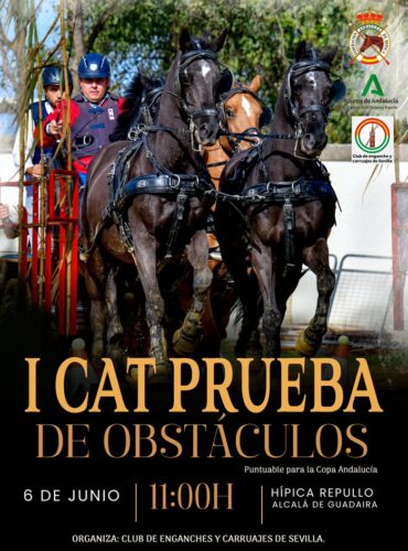 🗓️6 De junio CAT PRUEBA DE OBSTÁCULOS «ALCALÁ DE GUADAIRA». Club de Enganches y Carruajes de Sevilla, Alcalá de Guadaira (Sevilla).