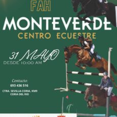 🗓️31 De mayo CST LIGA FAH PROV. SEVILLA. C.H. Monteverde, Coria del Río (Sevilla).