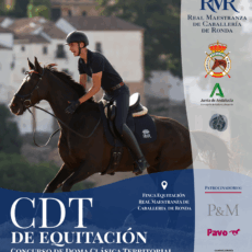 🗓️20 De junio CDT XII COPA DE ANDALUCÍA DOMA CLÁSICA, PARALÍMPICA, PONIS Y AMAZONAS. Real Maestranza de Caballería de Ronda, Ronda (Málaga).