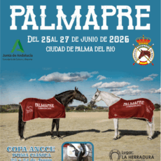 🗓️Del 23 al 24 de junio CDN 2* PALMA PRE – COPA ANCCE. Tono Servicios Integrales, Palma del Río (Córdoba).