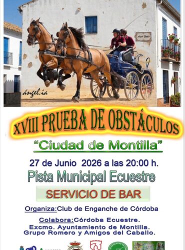 🗓️27 De junio CAT PRUEBA DE OBSTÁCULOS. Club de Enganches de Córdoba, Montilla (Córdoba).