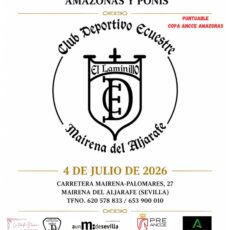 🗓️4 De julio CDT XII COPA DE ANDALUCÍA DOMA CLÁSICA, PARALÍMPICA, PONIS Y AMAZONAS. C.D. Ecuestre El Laminillo, Mairena del Alajarafe (Sevilla).
