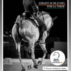 🗓️20 De junio CVT VI COPA DE ANDALUCÍA DOMA VAQUERA. Oleorasa Tour, Arjona (Jaén).