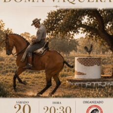 🗓️20 De junio CVT VI COPA DE ANDALUCÍA DOMA VAQUERA. C.H. Círculo del Caballo de Pozoblanco, Pozoblanco (Córdoba).