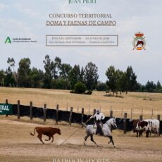 🗓️20 De junio IV COPA DE LOS ESTEROS DOMA Y FAENAS DE CAMPO 2026. C.D. Ntra. Sra. de la Aurora, Medina Sidonia (Cádiz).