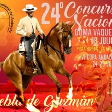 🗓️25 De julio CVT VI COPA DE ANDALUCÍA DOMA VAQUERA. C.D. Hípico Cultural del Andévalo, La Puebla de Guzman (Huelva).