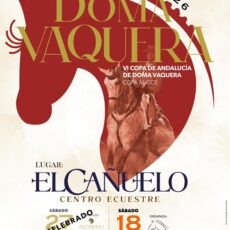🗓️18 De julio CVT VI COPA DE ANDALUCÍA DOMA VAQUERA. Horse Experiences, Córdoba.